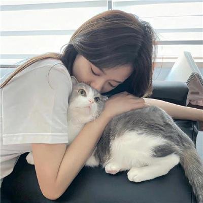 追星星的人
